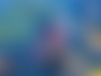 Best Times To Fish Today 