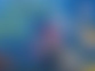 Best Times To Fish Today