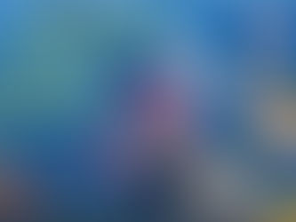 Best Times To Fish Today 