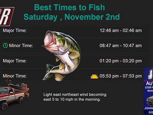 Best Times To Fish