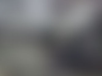 Stolen Car Hwy 19 N Meridian 