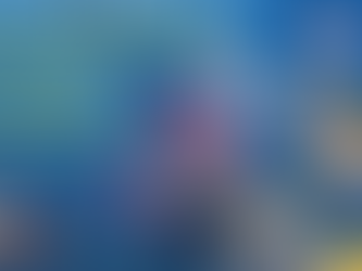 Best Times To Fish Today