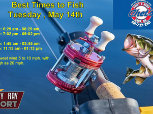 Best Times To Fish 
