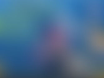 Best Times To Fish Today