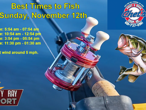 Best Times To Fish
