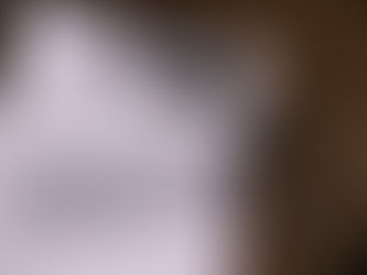 Meridian Man Pleads Guilty to Being a Felon in Possession of a Firearm