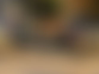 Lauderdale County Coroner Releases Name of Deceased Individual from December 20th Fire