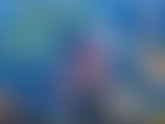 Best Times To Fish Today 