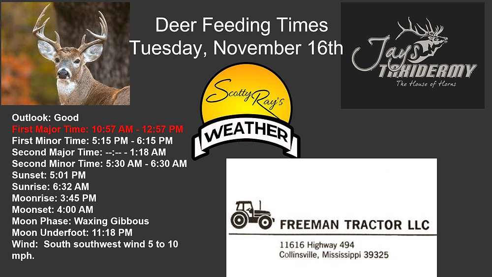 Best Deer Hunting Times