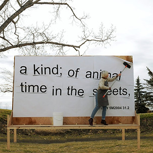 animal time billboard copy.jpg