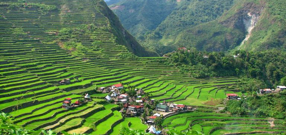 baguio6.jpg