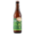 Dogfish 60 Minute IPA