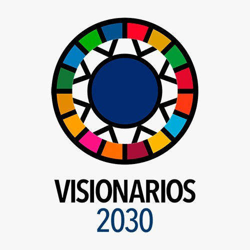 Logo Visionarios 2030