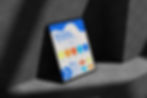 SM iPad.jpg
