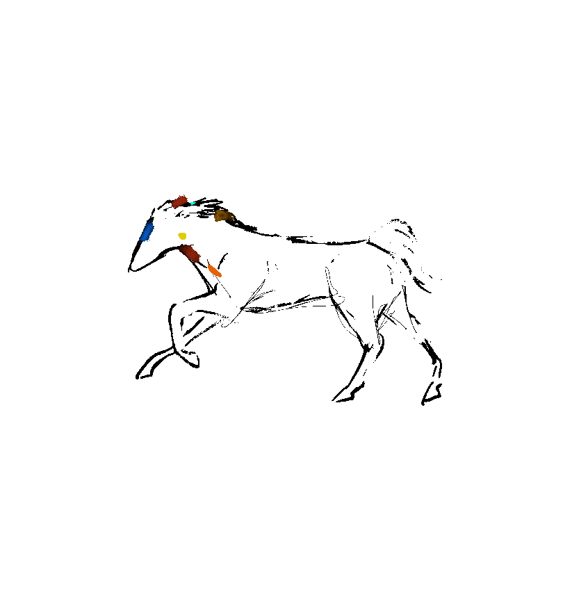 caba_color.gif