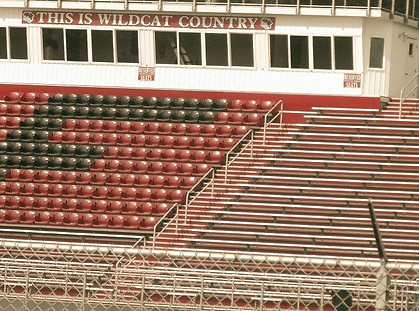 427203_3042858690221_181538260_n_edited.jpg