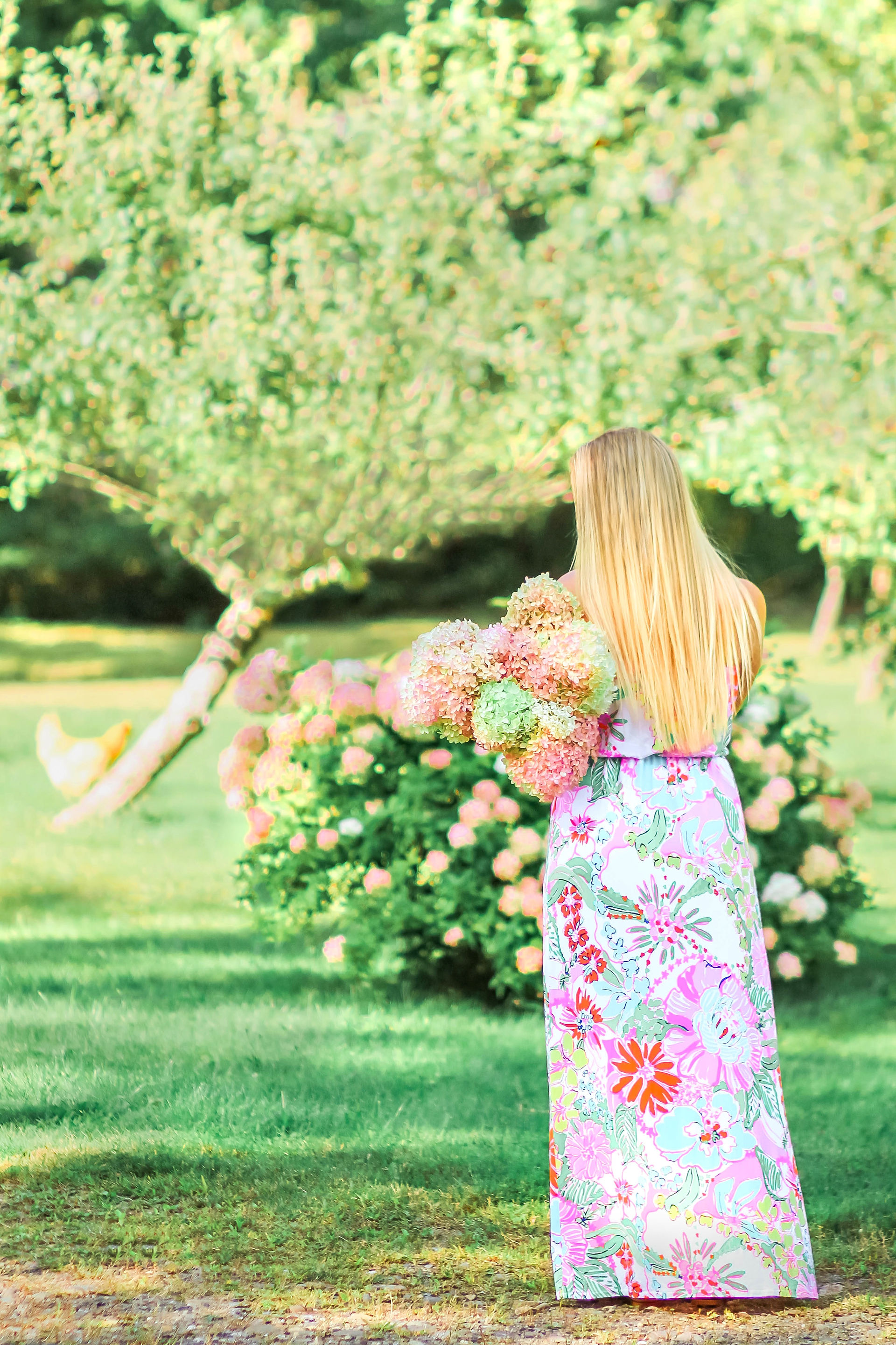 The Garden Of Thomas