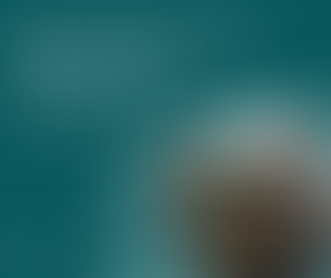 Soaring Above the Empty Nest: Reclaiming Identity and Purpose Post-Parenting