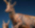 Pronghorn Pyramid