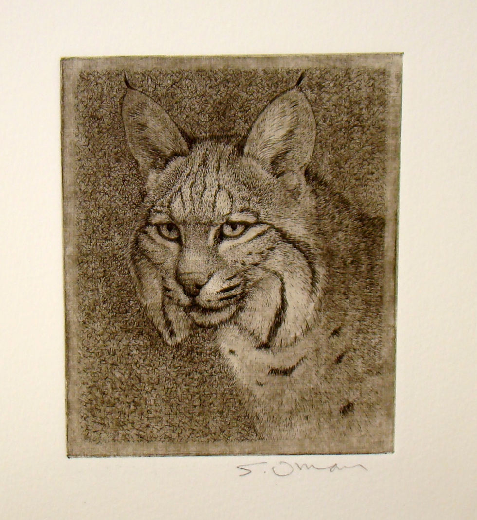 Bobcat Head