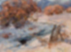 Winter Shadows
