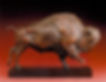 Bison Study