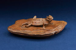 Tony Hochstetler Horned Lizard