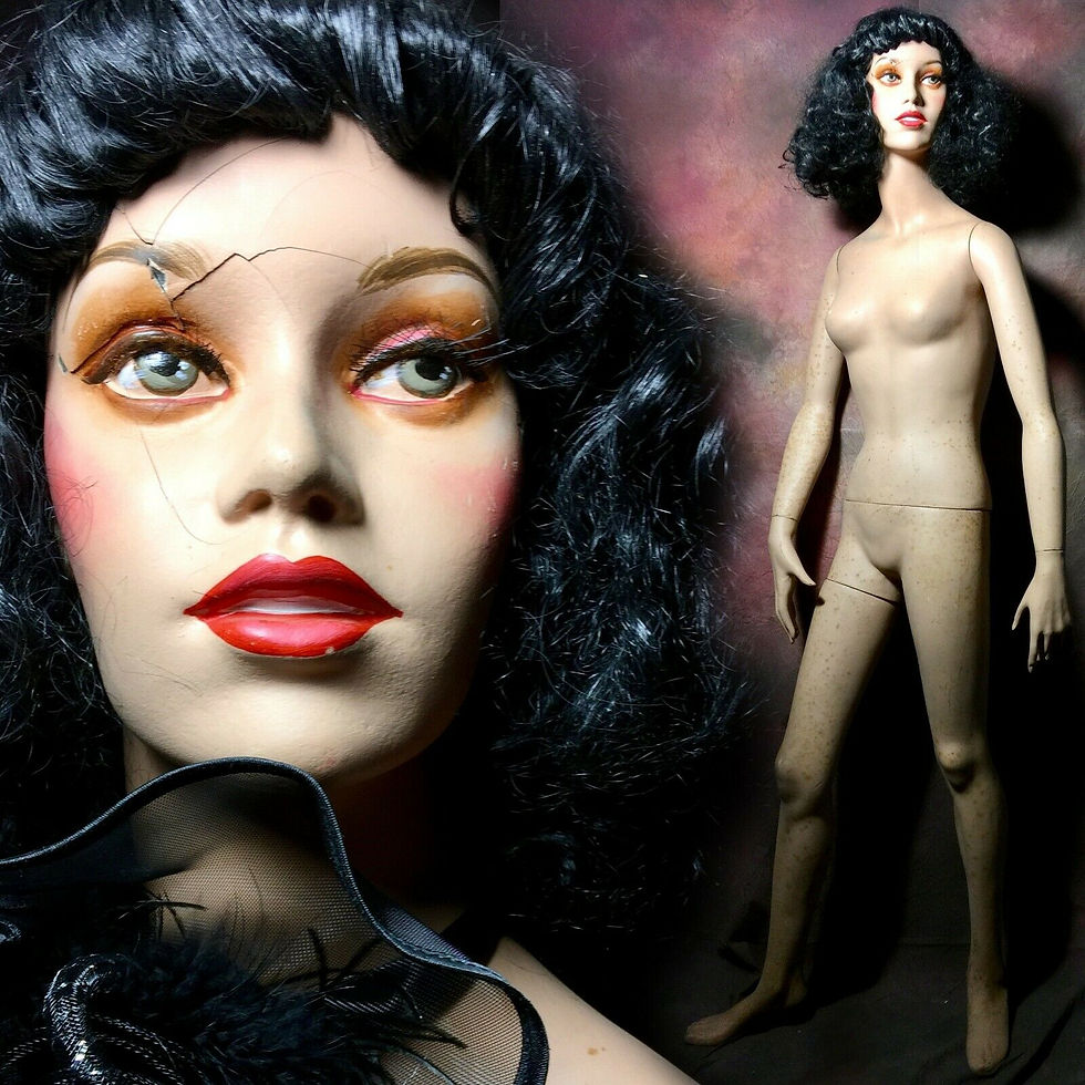 ~501~ by D.G. Williams Mannequins