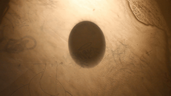 ezgif.com-gif-maker.gif