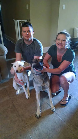 Gunner adopted 1116