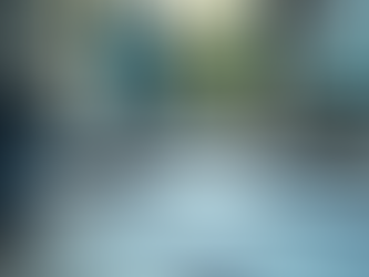 Explore Massinet's Comprehensive Range of Services