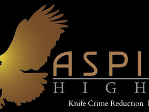 THE ASPIRE HIGHER (ANTI KNIFE) PROGRAM