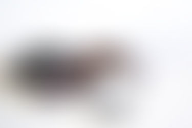 Совмещение и совместительство - Что говорит трудовое законодательство?