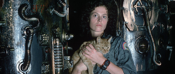 alien.jpg