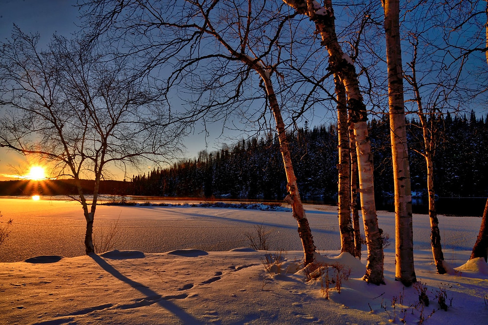 Winter sun