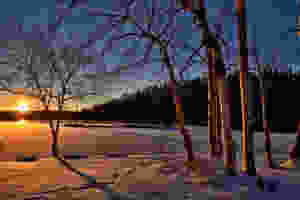 Winter sun