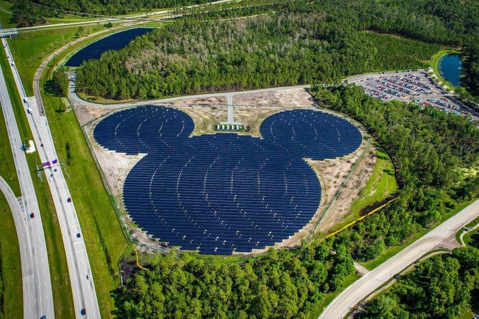 Hidden Mickey birds eye view.