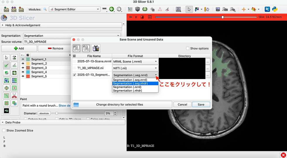 保存形式の指定
