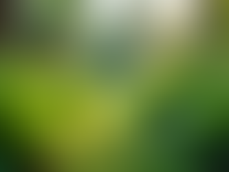 The Importance of Sustainable Living in Today's World