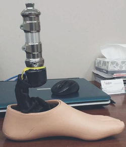 foot cover pic_edited_edited.jpg