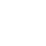 White Google+ Icon