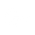 White Google+ Icon