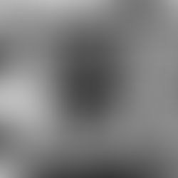 Interview With Suzanne Ciani