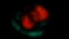 Sequence 02.00_02_28_20.Still003.jpg