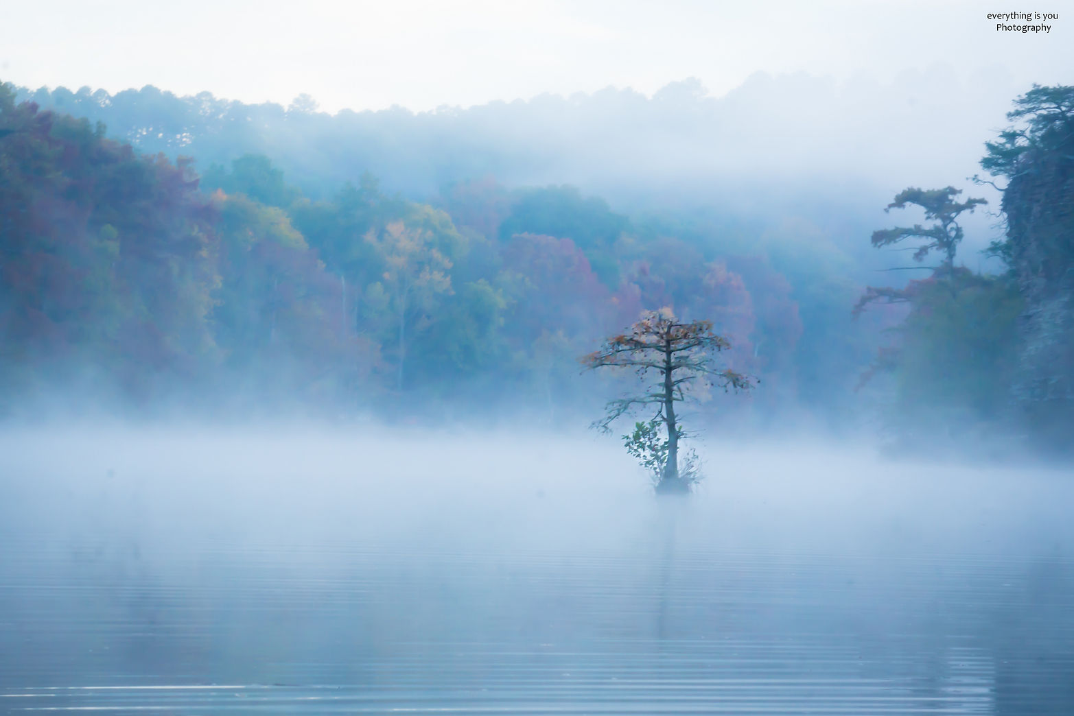 20221106 - Cypress River Fog BB Park Yak 5175 x 3451 Watermark.jpg