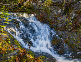 20221127 - Skyline Waterfall Fall BB Park.png