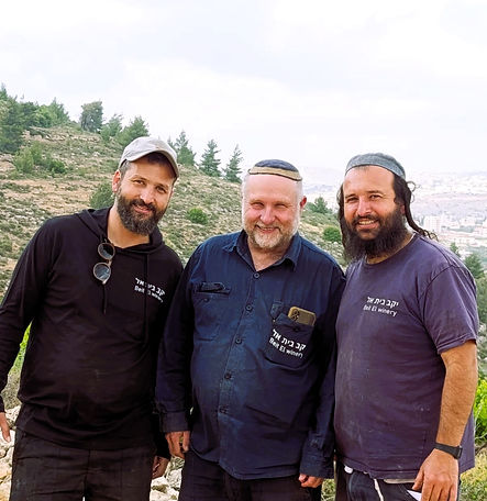 הלל שלוםדוד ישראלמאיר.jpg