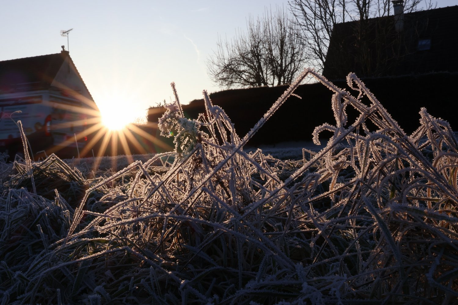 Frost and First Light