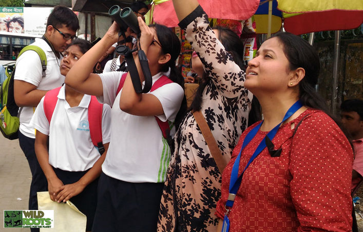 wildroots_batwatch (16).jpg