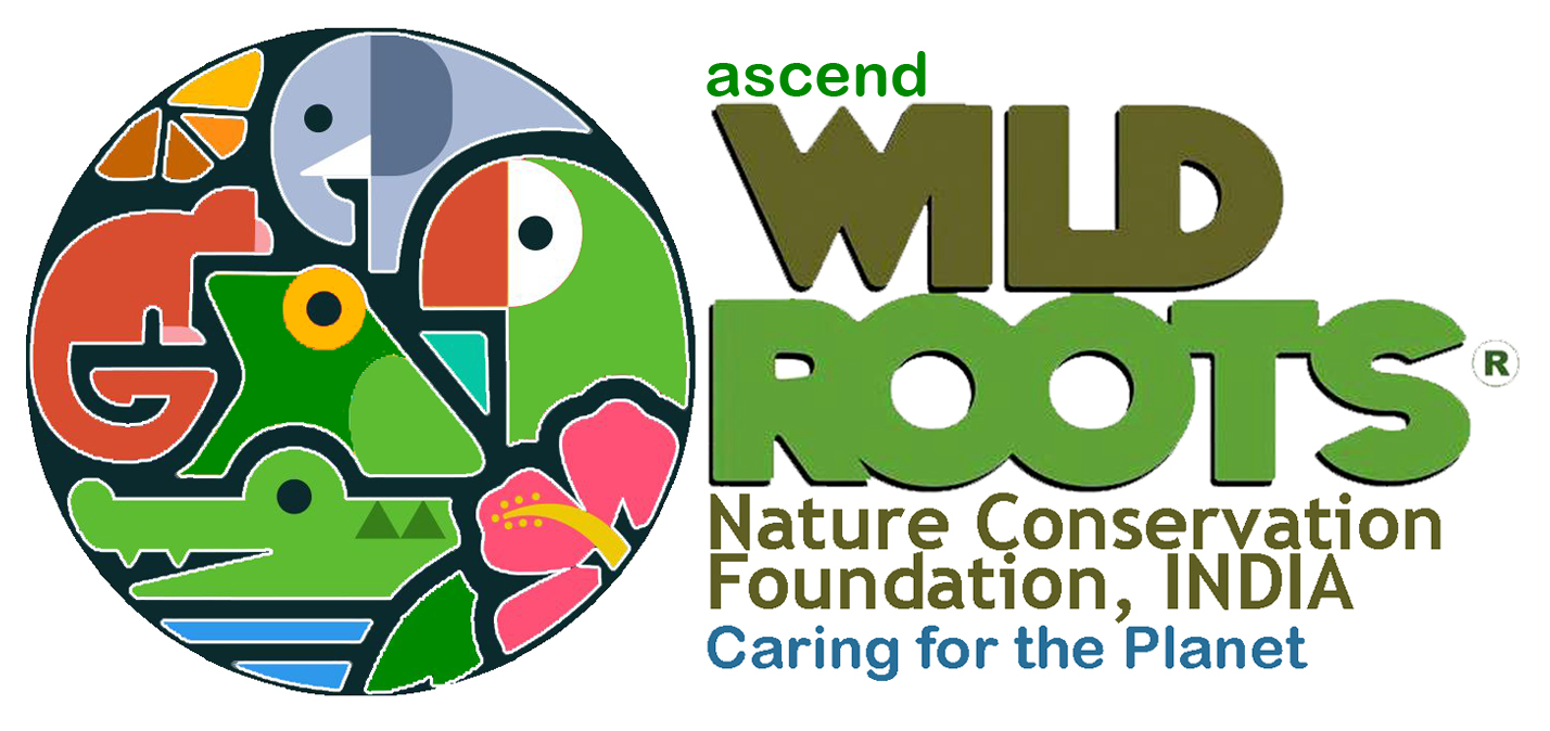 WNCF_ASCEND_LOGO.jpg